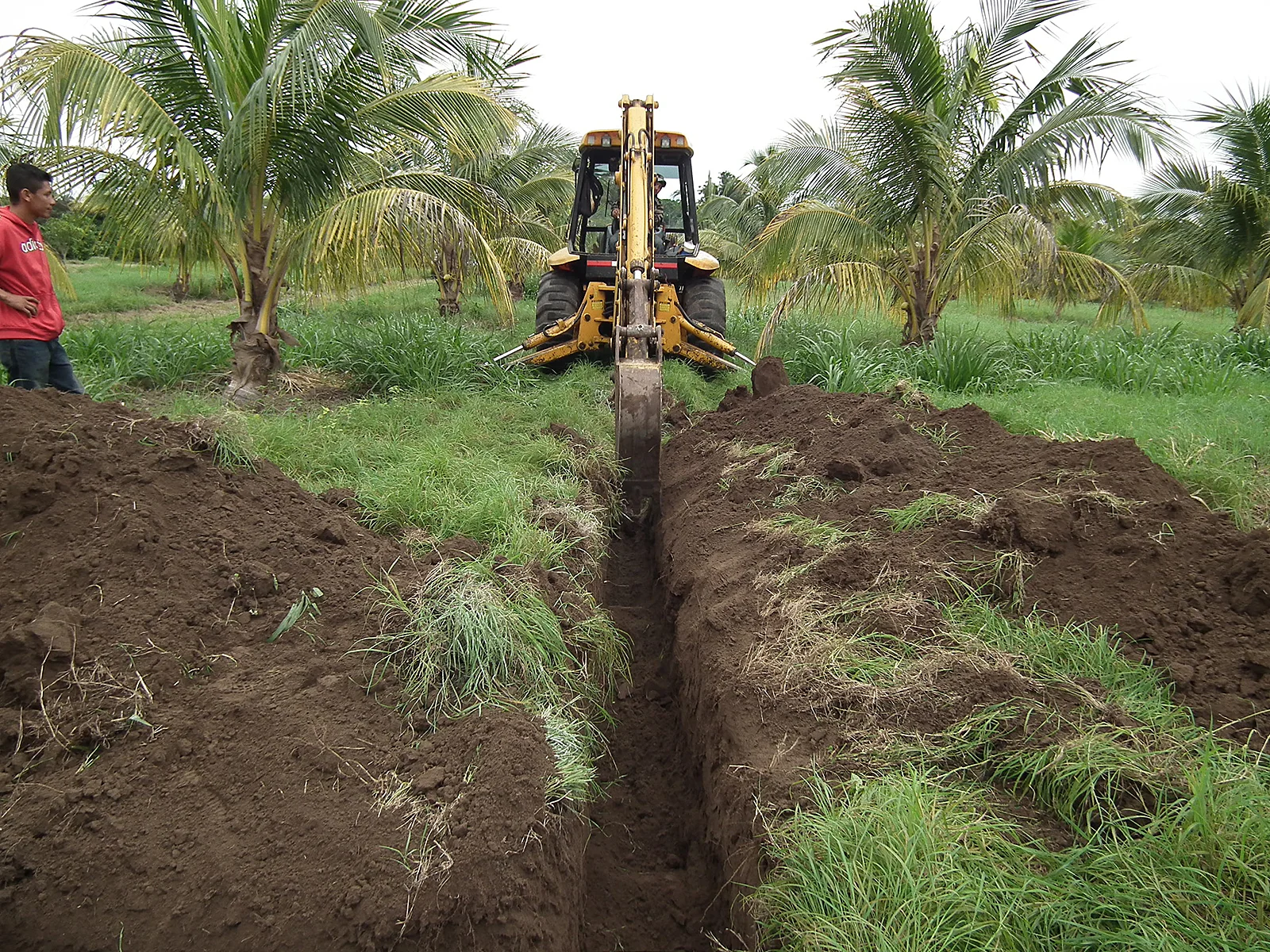 En enero de 2013 iniciamos la  instalación del sistema de riego por goteo y microaspersión.
